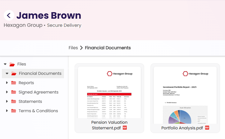 Customer vault showing folders such as Reports, Statements and Agreements